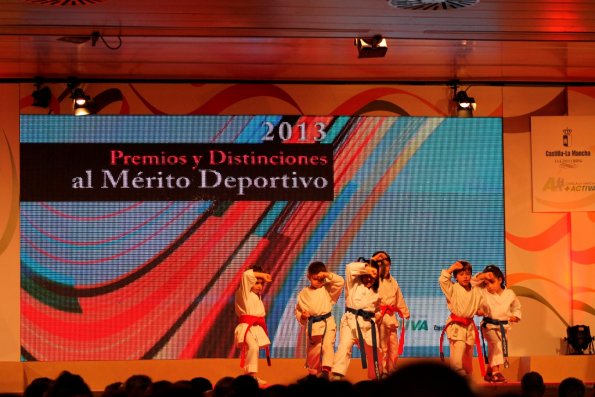 Premios y Distinciones al Merito Deportivo de Castilla La Mancha-diciembre -2014- fuente Area de Deportes Miguelturra - 03