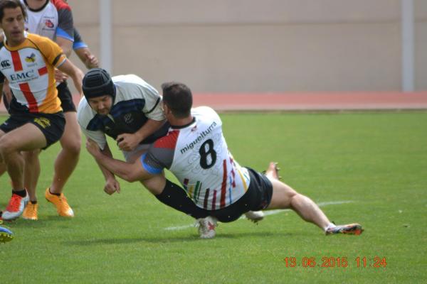 Dia del Club Arlequines Miguelturra - junio 2015 - fuente imagen Arlequines Miguelturra Rugby Club - 15