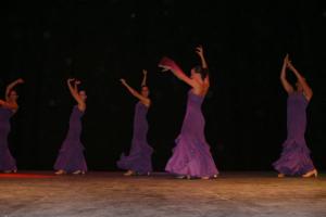 gala benéfica diciembre 2010