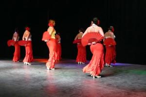 gala benéfica diciembre 2010