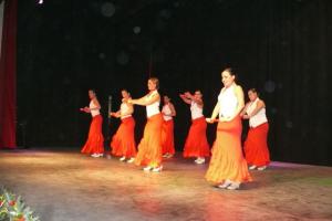 gala benéfica diciembre 2010