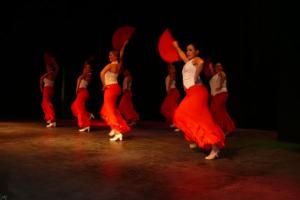 gala benéfica diciembre 2010