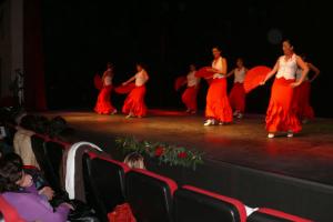gala benéfica diciembre 2010