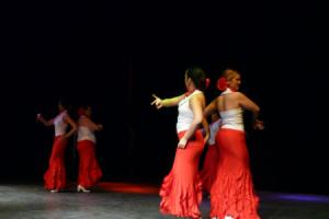 gala benéfica diciembre 2010