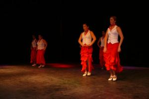 gala benéfica diciembre 2010