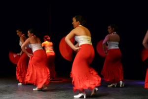 gala benéfica diciembre 2010