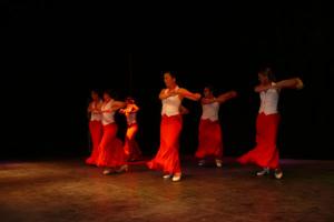 gala benéfica diciembre 2010