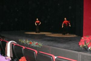 gala benéfica diciembre 2010