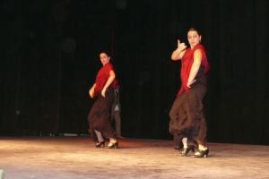 gala benéfica diciembre 2010