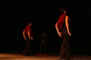 gala benéfica diciembre 2010