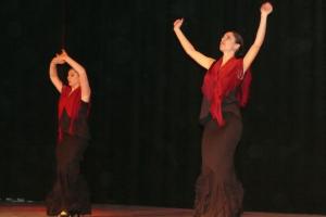 gala benéfica diciembre 2010