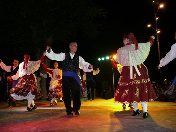 Festival Folclorico Villa Miguelturra-2013-07-12-fuente Area Comunicacion Municipal-201