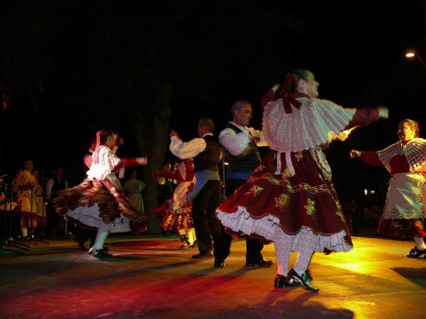 Festival Folclorico Villa Miguelturra-2013-07-12-fuente Area Comunicacion Municipal-202