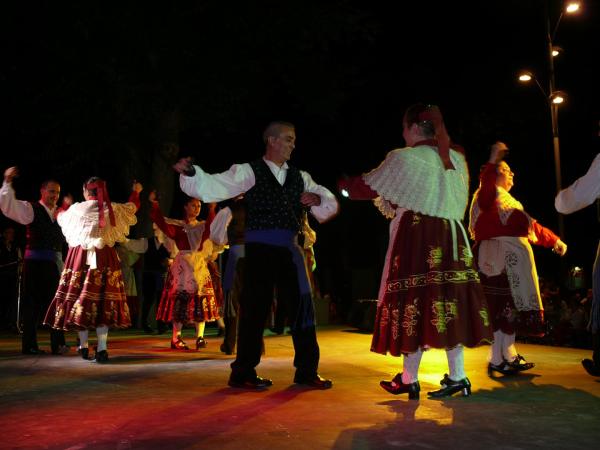 Festival Folclorico Villa Miguelturra-2013-07-12-fuente Area Comunicacion Municipal-204