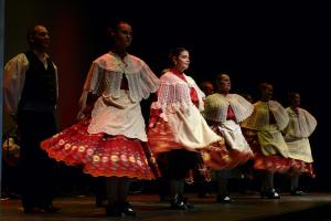 Muestra folk agosto 2011