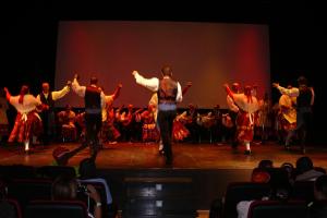Muestra folk agosto 2011