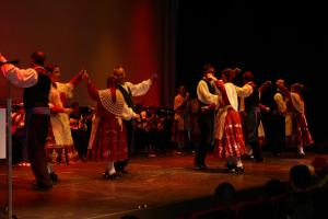 Muestra folk agosto 2011