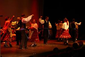 Muestra folk agosto 2011