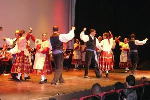 Muestra folk agosto 2011