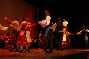 Muestra folk agosto 2011
