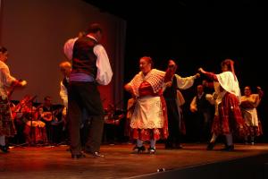 Muestra folk agosto 2011