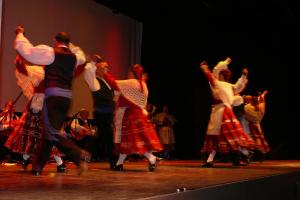 Muestra folk agosto 2011