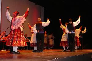 Muestra folk agosto 2011