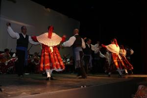 Muestra folk agosto 2011