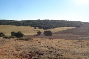 Hoya del Nandin 2011