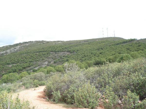 ruta montes de alcolea-cde cascoloko-15-04-2012-fuente Millan Gomez-056
