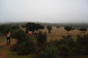 ruta Alcolea diciembre 2011