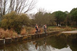 ruta Alcolea diciembre 2011