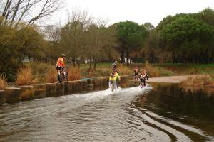 ruta Alcolea diciembre 2011