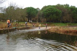 ruta Alcolea diciembre 2011