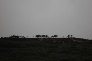 ruta Alcolea diciembre 2011