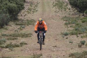 ruta Alcolea diciembre 2011