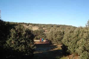 Ruta Antenas-diciembre 2011