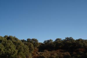 Ruta Antenas-diciembre 2011