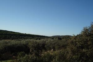 Ruta Antenas-diciembre 2011