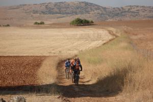Ruta Cigueñas 2011