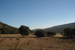 Ruta Guadiana diciembre 2011