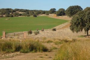 Ruta Guadiana diciembre 2011