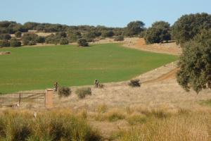 Ruta Guadiana diciembre 2011