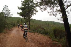 Ruta Navalpino Noviembre 2011