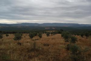 Ruta Navalpino Noviembre 2011