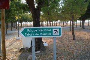 Tablas Daimiel-octubre 2011