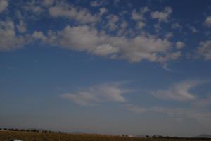 Tablas Daimiel-octubre 2011