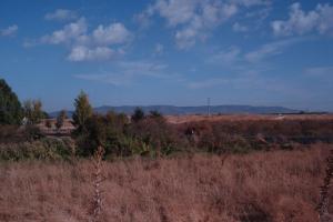 Tablas Daimiel-octubre 2011