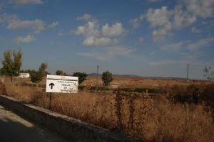 Tablas Daimiel-octubre 2011