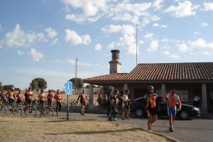 Tablas Daimiel-octubre 2011 Tablas Daimiel-octubre 2011